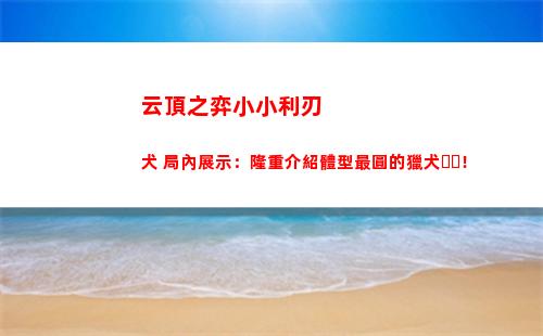 云頂之弈小小利刃犬 局內展示：隆重介紹體型最圓的獵犬！